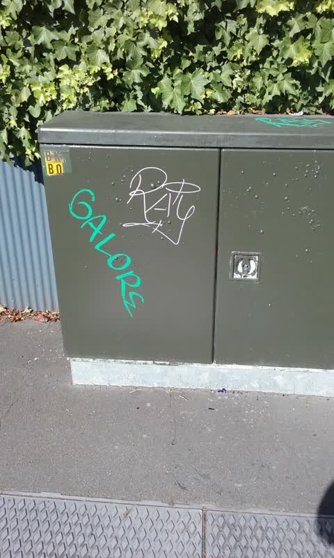 Graffiti, a report photo
