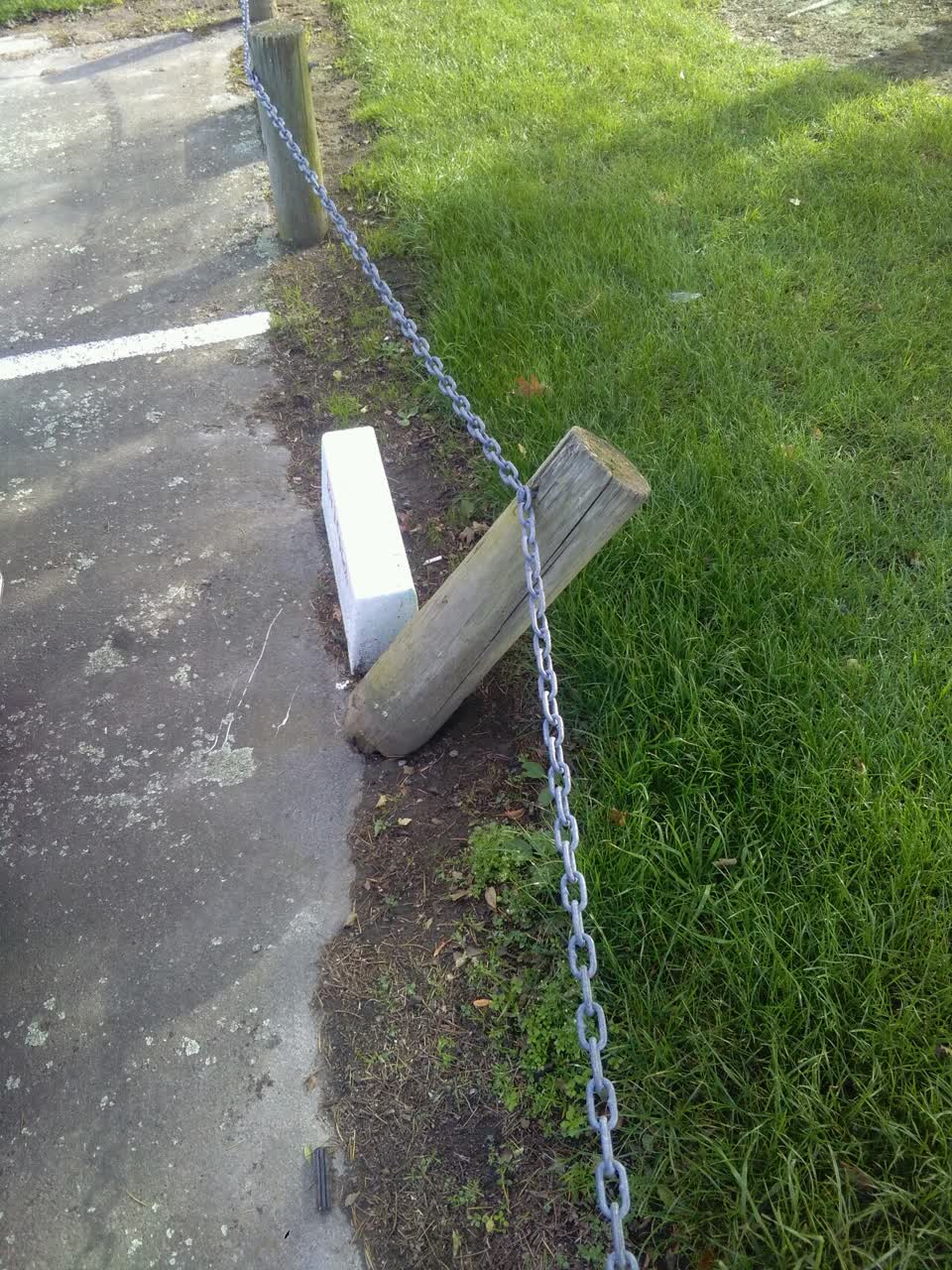 The photograph attached to this parks report