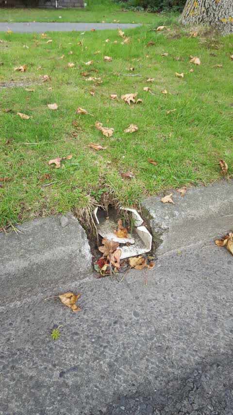 Wastewater/Stormwater, a report photo