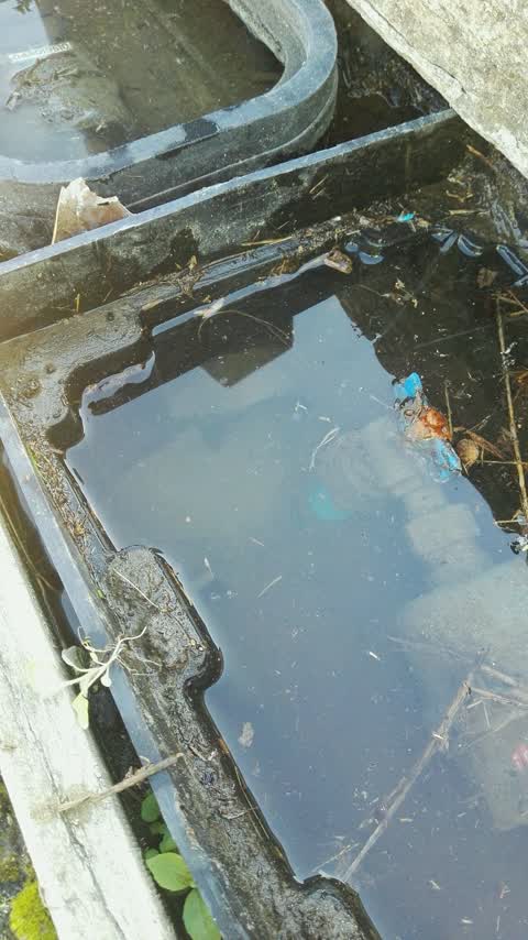 Water Supply, a report photo
