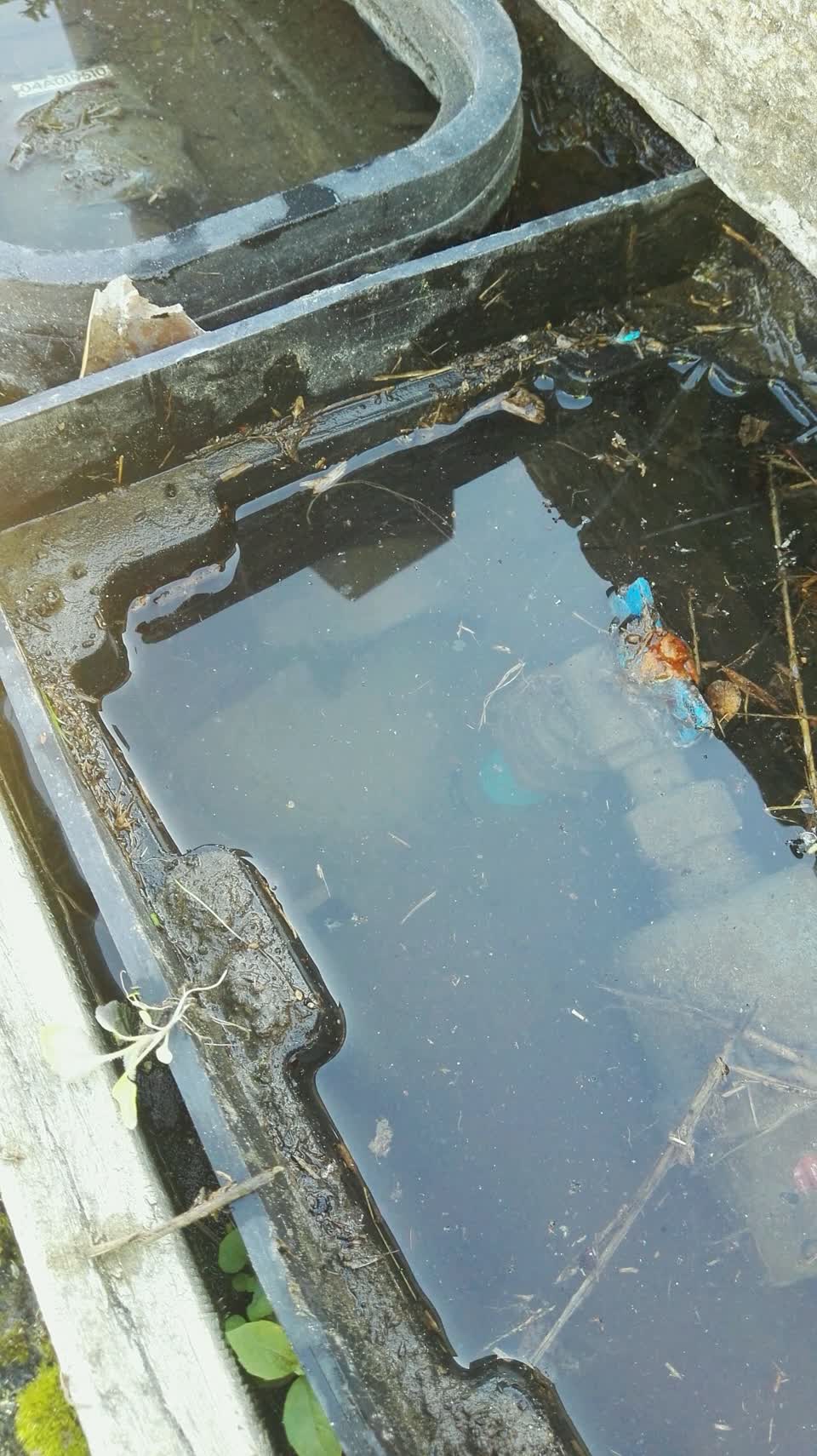 The photograph attached to this water supply report