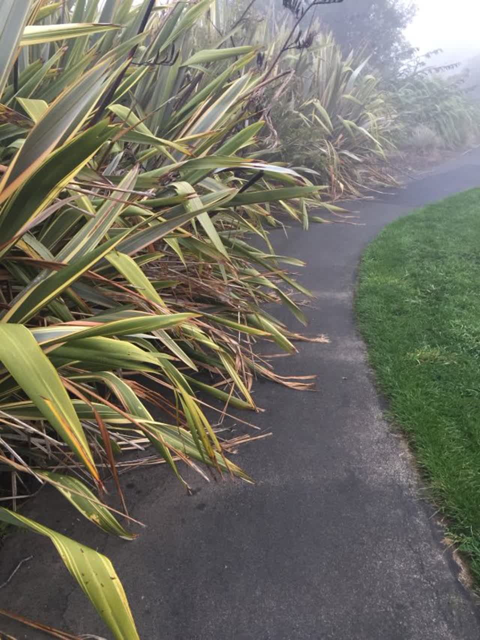 The photograph attached to this parks report