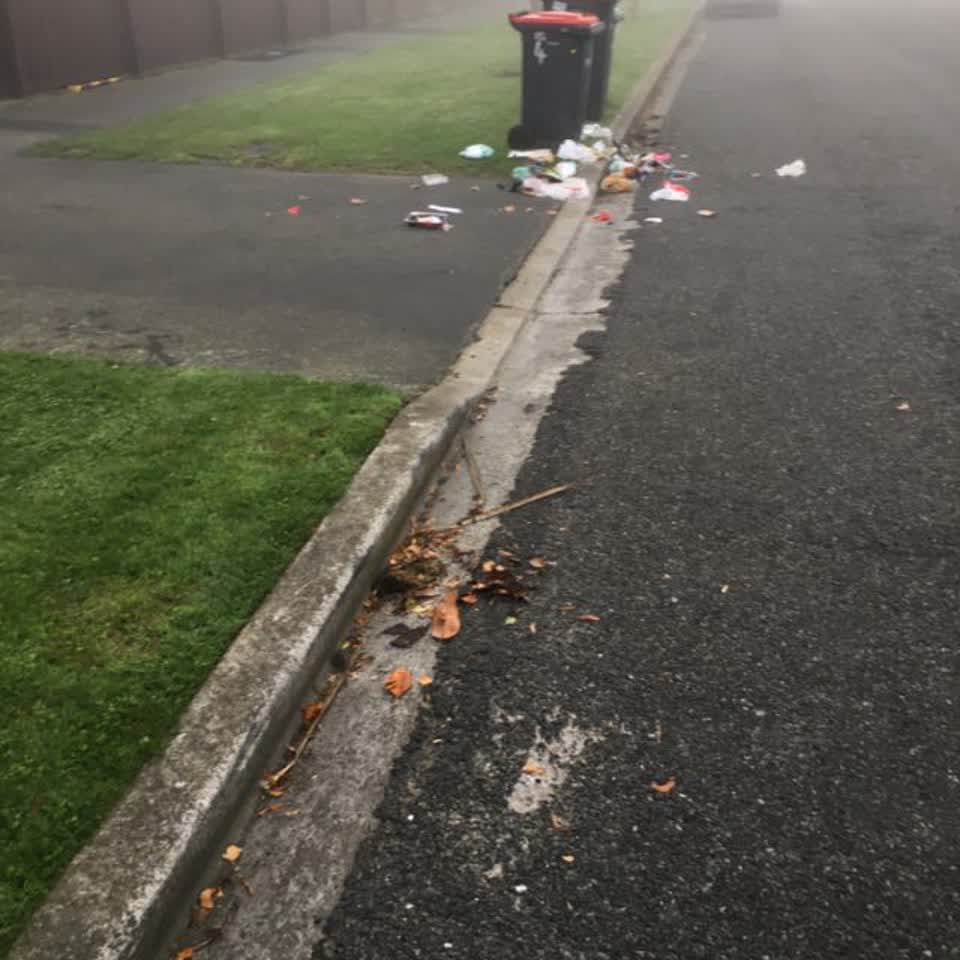 The photograph attached to this rubbish/recycling report