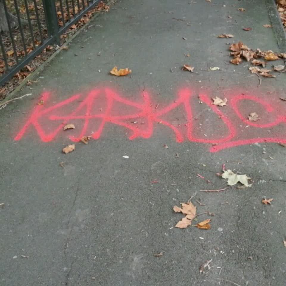 The photograph attached to this graffiti report