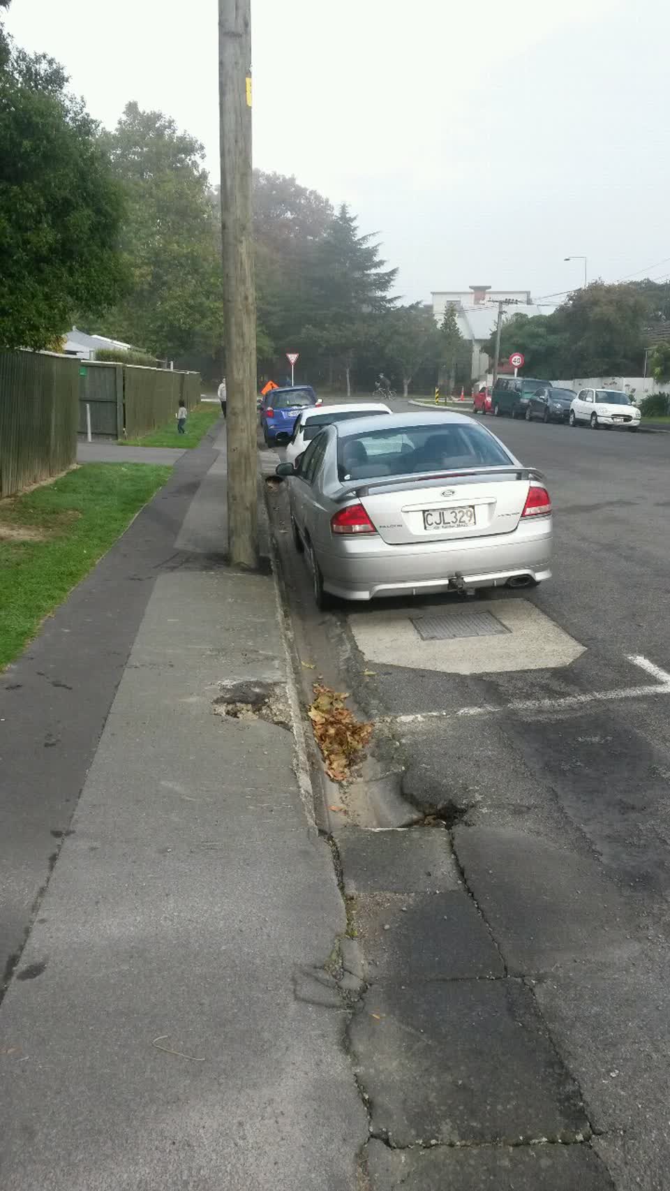 The photograph attached to this roading/streets report