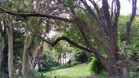 Parks, a report photo