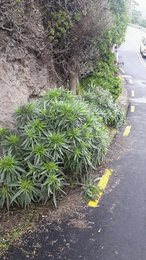 Roading/Streets — a report photo