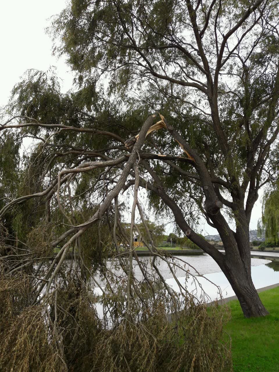 The photograph attached to this parks report