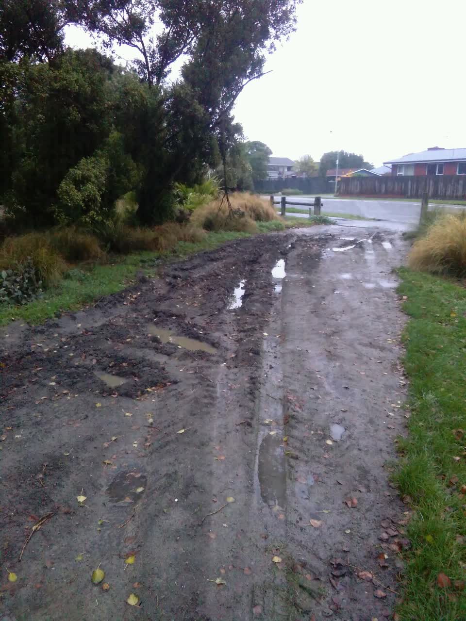 The photograph attached to this parks report