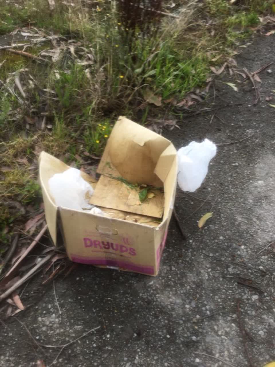 The photograph attached to this rubbish/recycling report