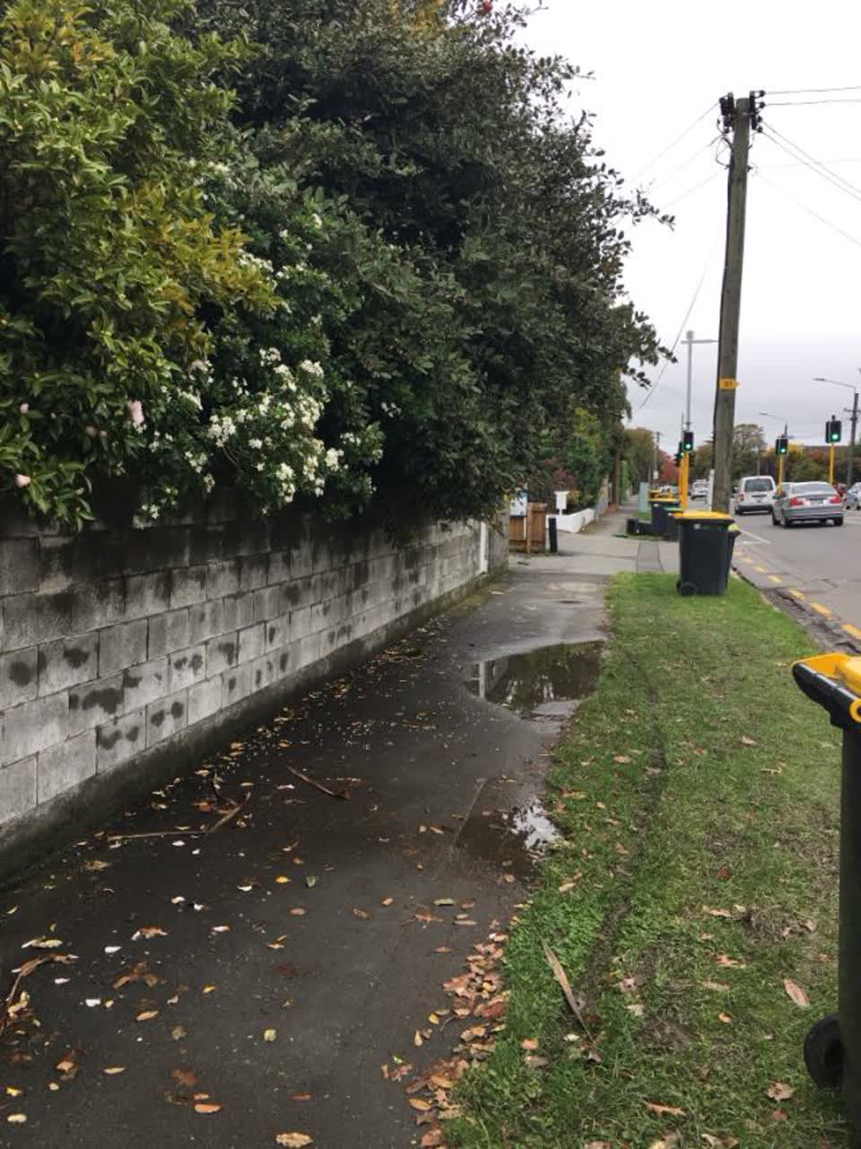 The photograph attached to this roading/streets report