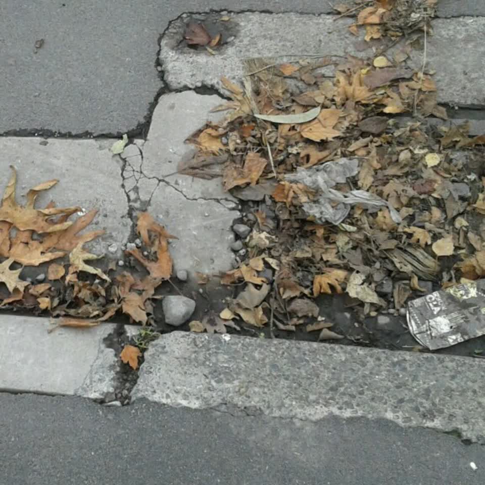 The photograph attached to this wastewater/stormwater report