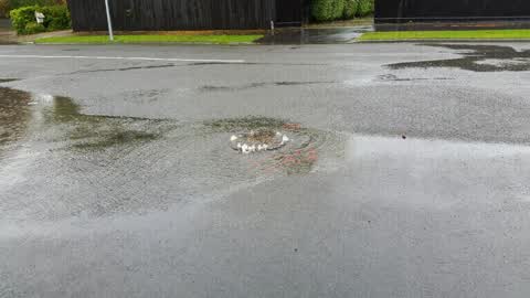 Wastewater/Stormwater, a report photo