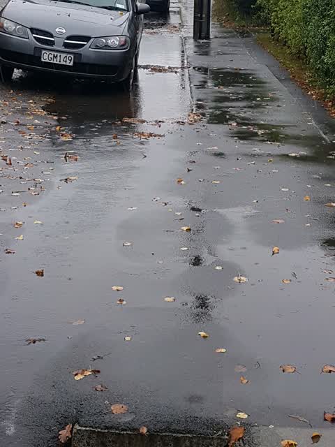Roading/Streets — a report photo