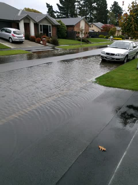 Wastewater/Stormwater, a report photo
