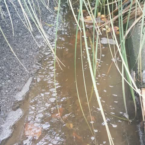 Wastewater/Stormwater, a report photo
