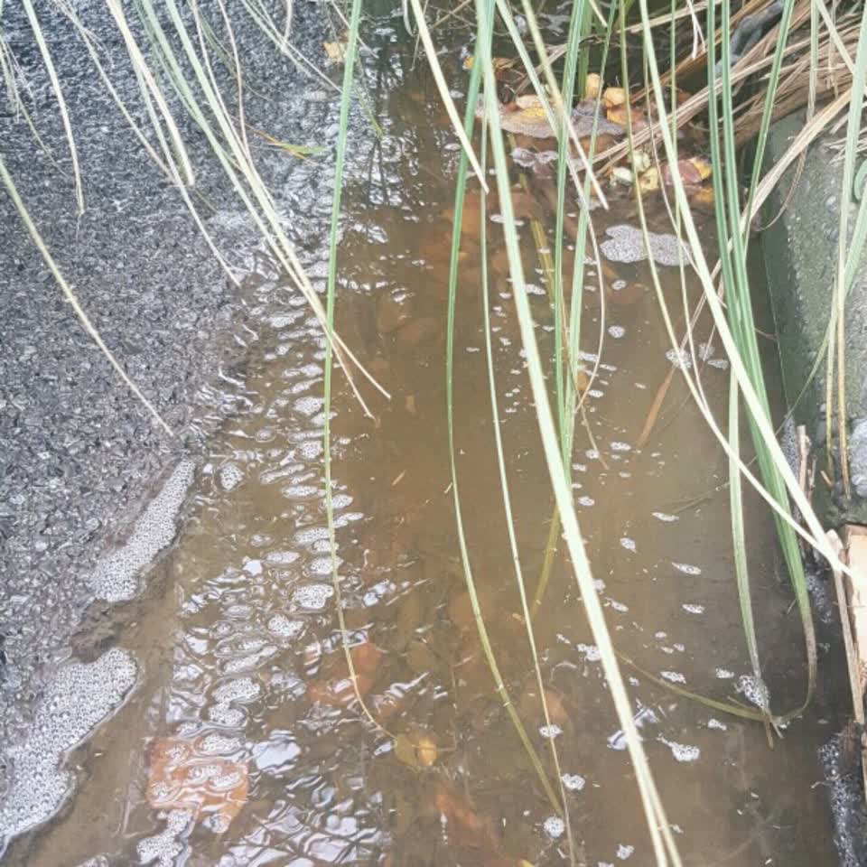 The photograph attached to this wastewater/stormwater report