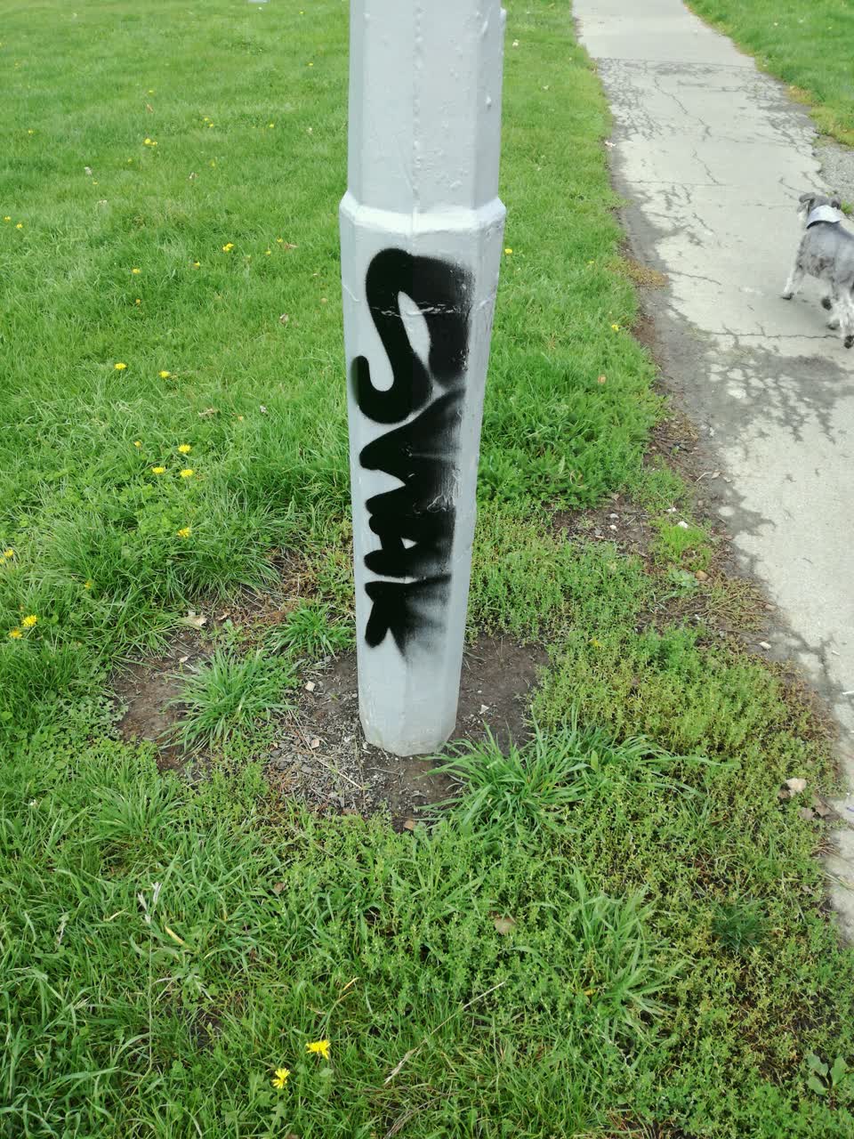 The photograph attached to this graffiti report