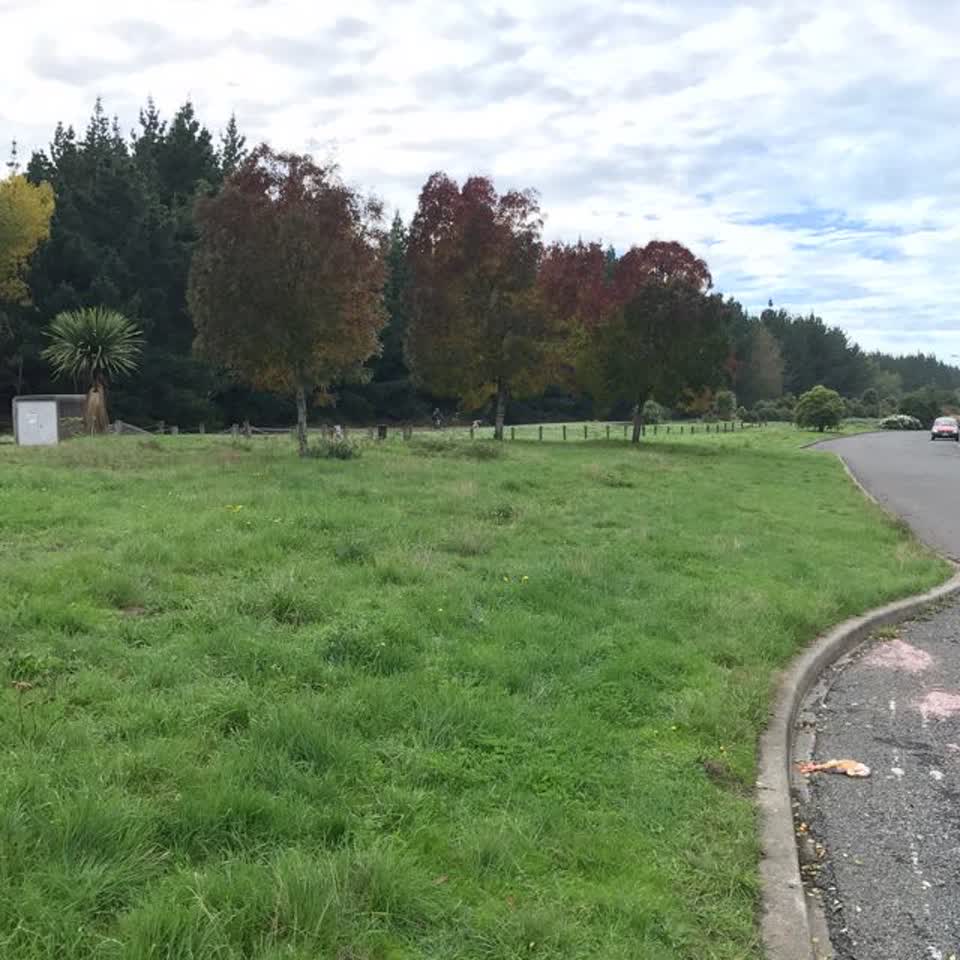 The photograph attached to this parks report