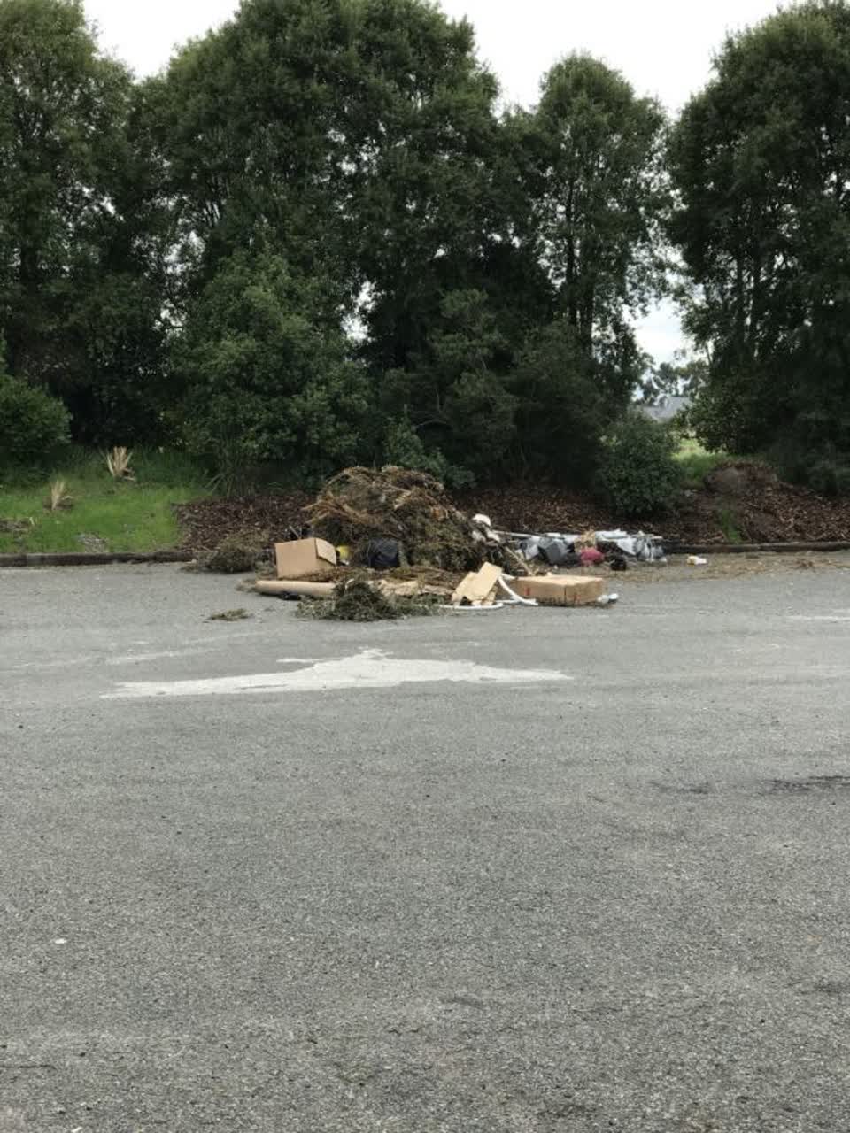 The photograph attached to this rubbish/recycling report
