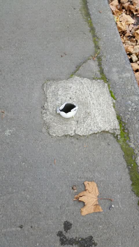 Roading/Streets, a report photo
