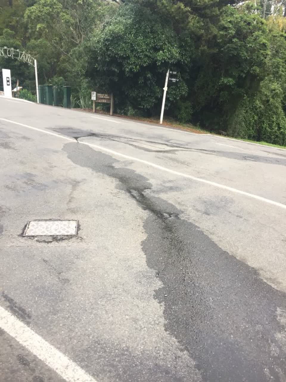 The photograph attached to this roading/streets report