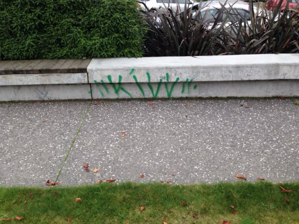 The photograph attached to this graffiti report