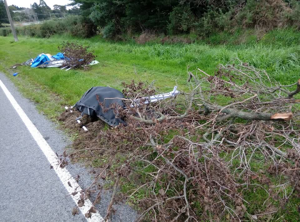 The photograph attached to this rubbish/recycling report