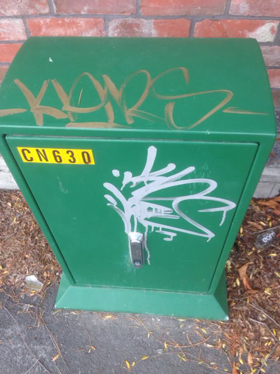 The photograph attached to this graffiti report