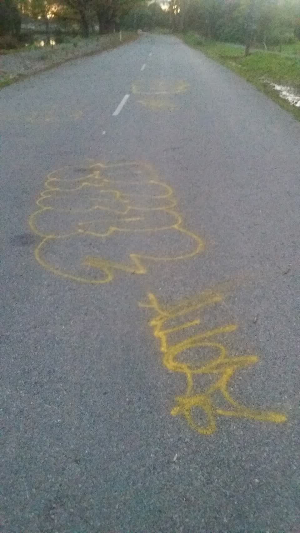The photograph attached to this graffiti report