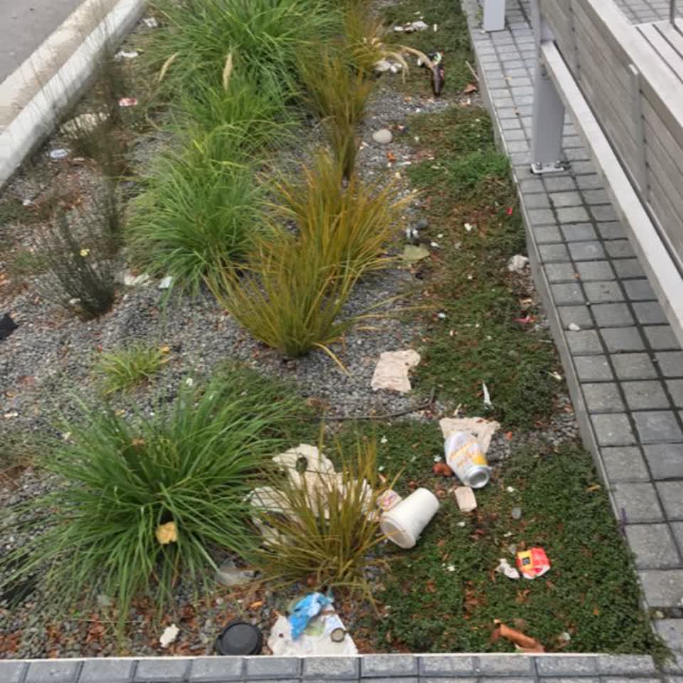 The photograph attached to this rubbish/recycling report