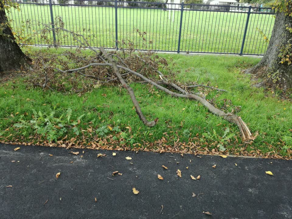 The photograph attached to this parks report
