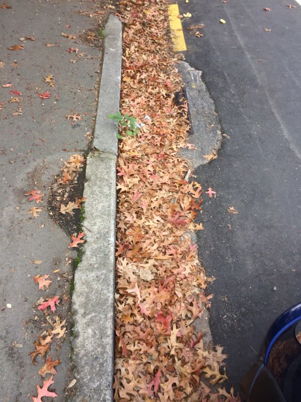 The photograph attached to this wastewater/stormwater report