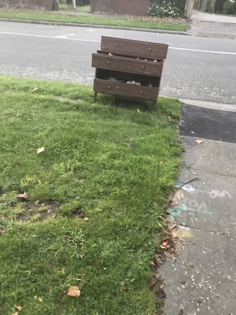Rubbish/Recycling, a report photo