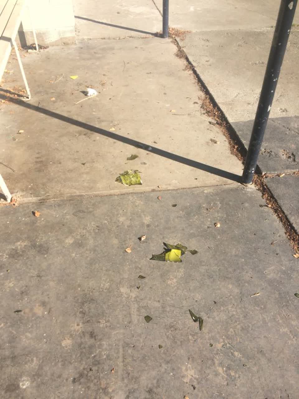 The photograph attached to this parks report