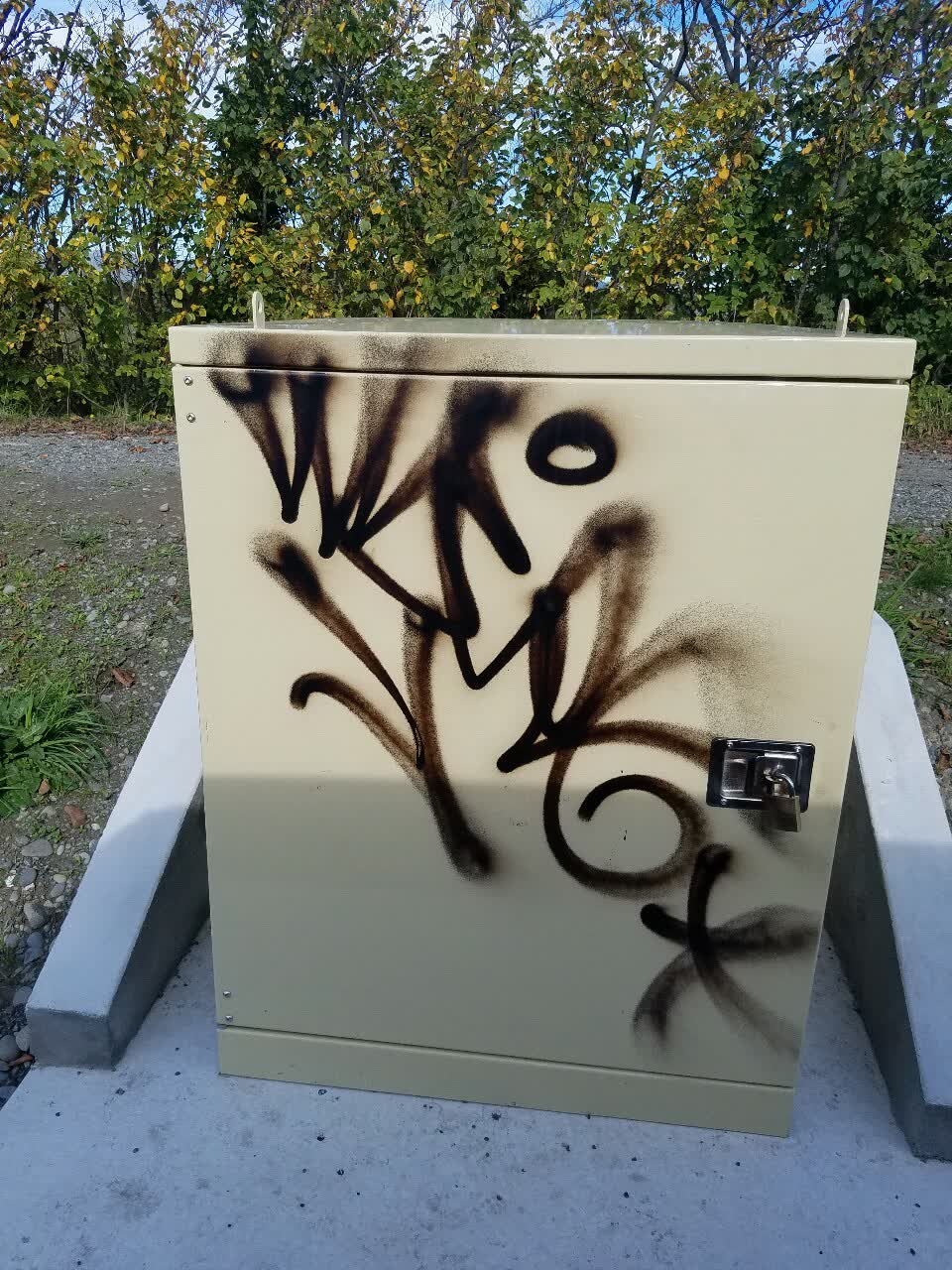 The photograph attached to this graffiti report