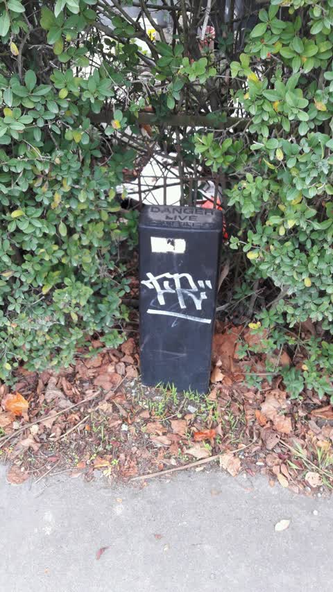 Graffiti, a report photo