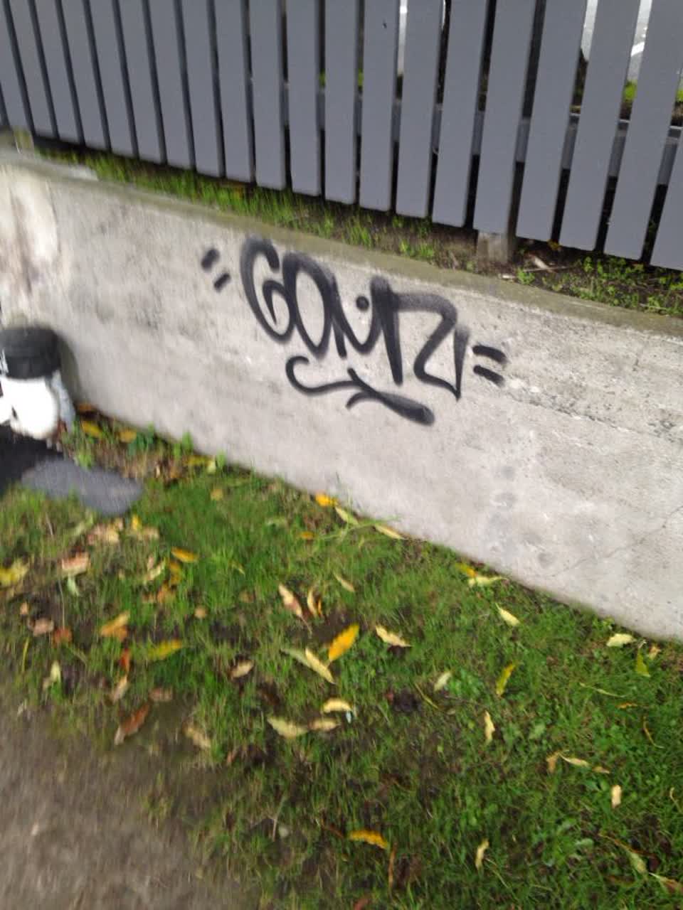The photograph attached to this graffiti report