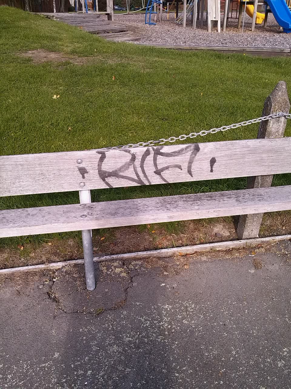 The photograph attached to this graffiti report