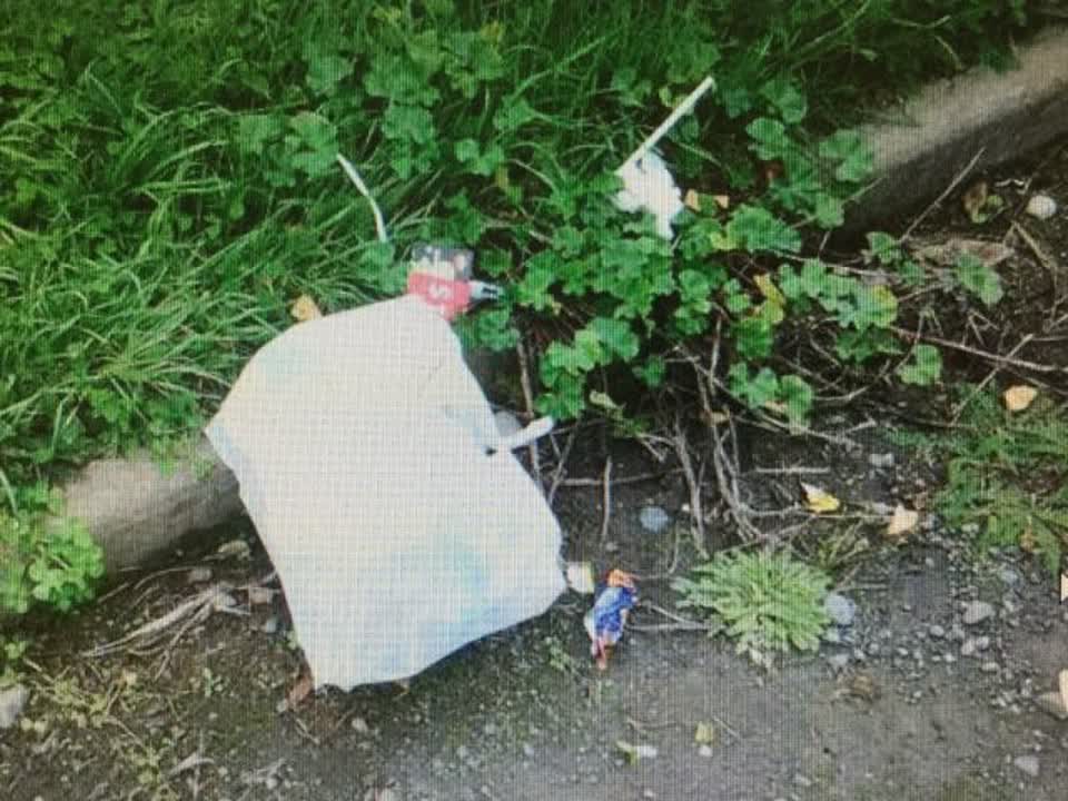 The photograph attached to this rubbish/recycling report