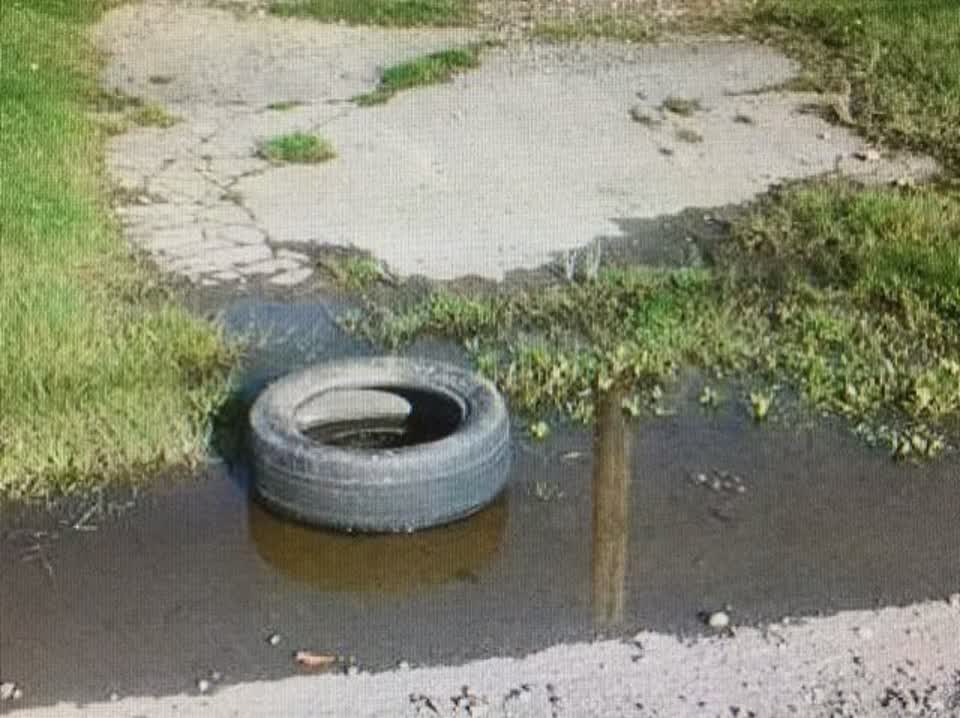 The photograph attached to this rubbish/recycling report