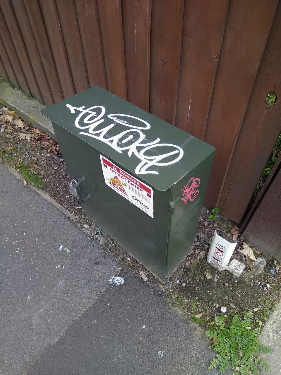The photograph attached to this graffiti report