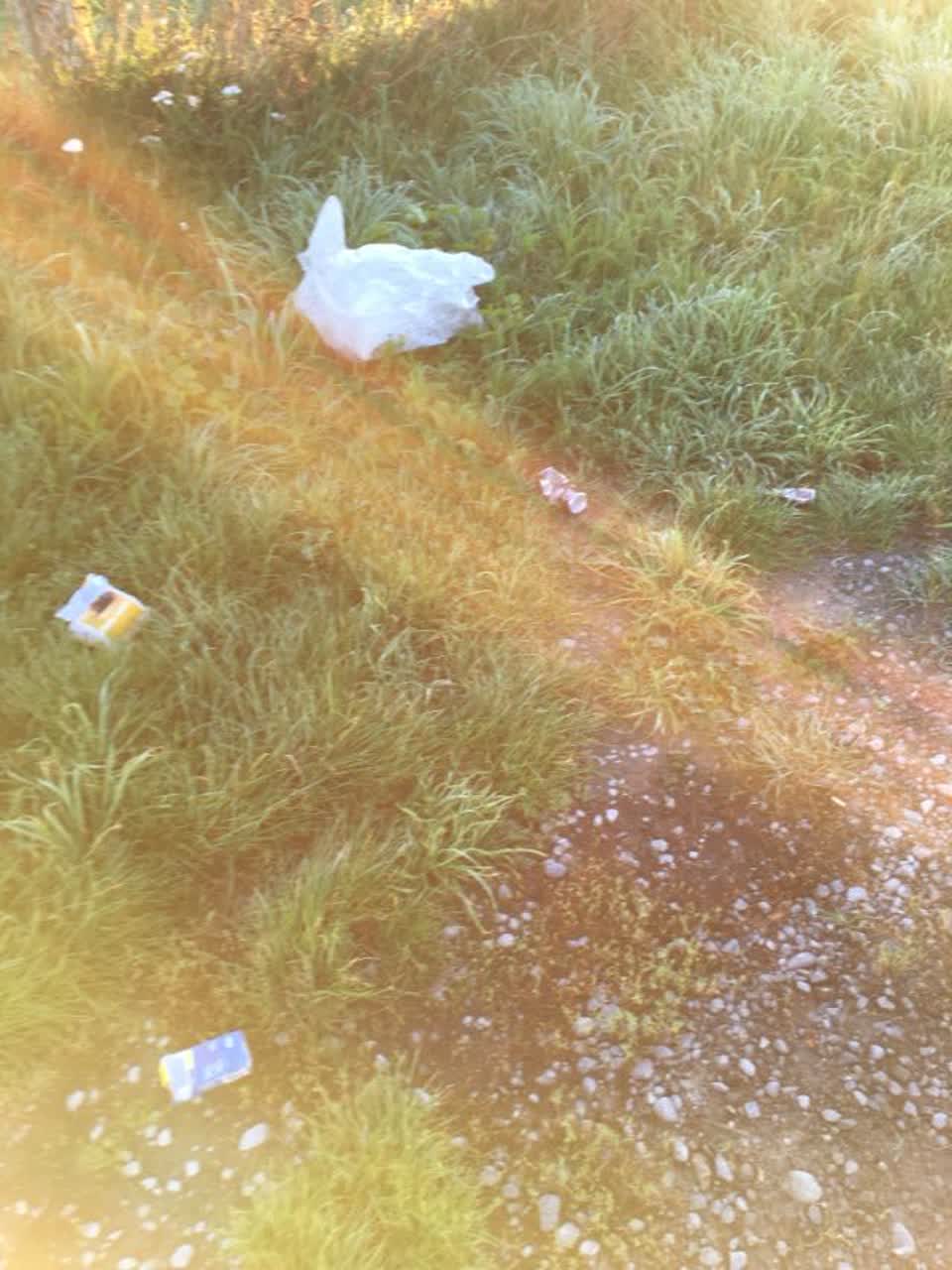 The photograph attached to this rubbish/recycling report