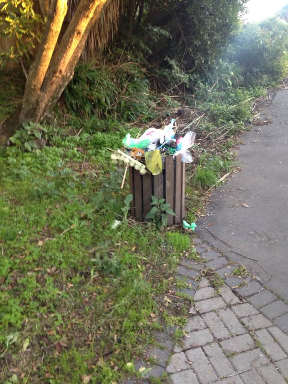 The photograph attached to this rubbish/recycling report