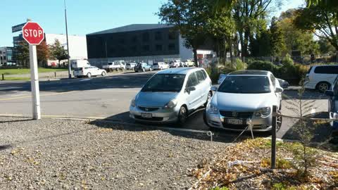 Roading/Streets, a report photo