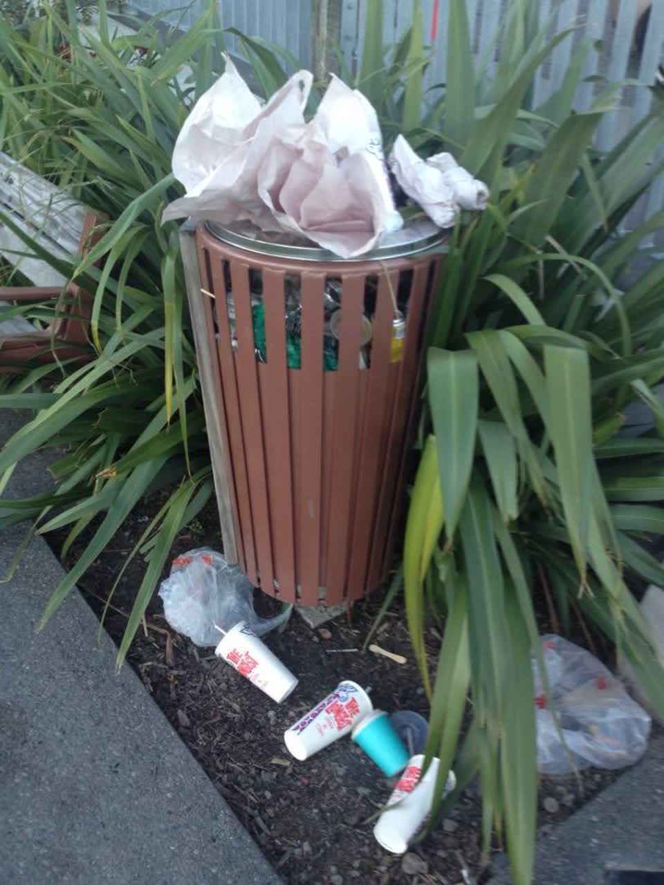 The photograph attached to this rubbish/recycling report