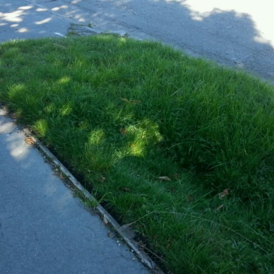The photograph attached to this wastewater/stormwater report