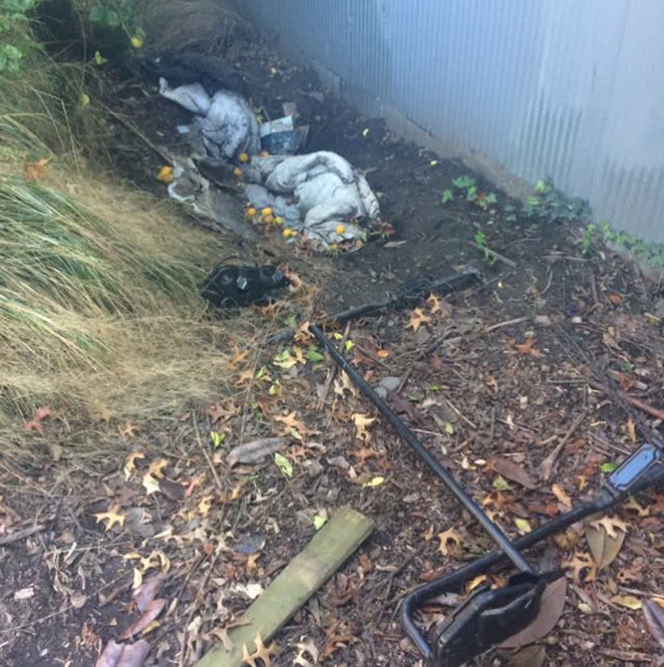 The photograph attached to this parks report