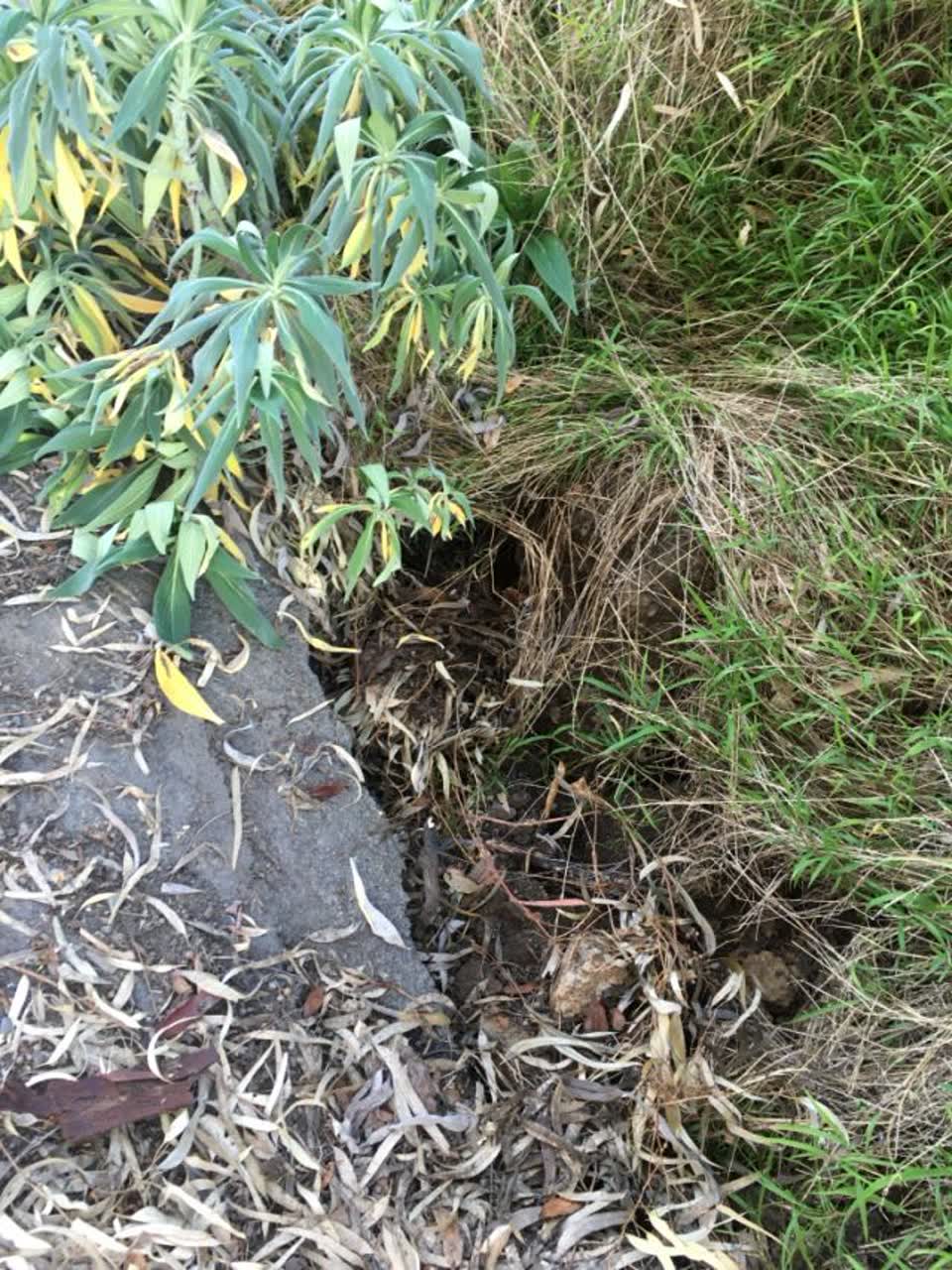 The photograph attached to this roading/streets report