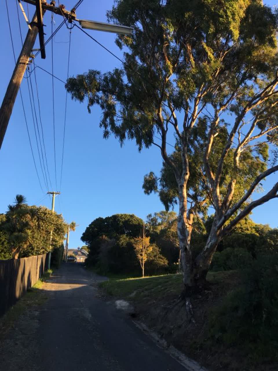 The photograph attached to this roading/streets report